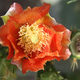 Illustration for article titled Spring has sprung: A Xyl0 photo gallery
